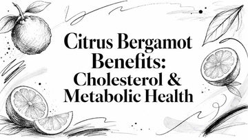 Citrus Bergamot Benefits: Cholesterol & Metabolic Health illustrated with citrus fruit sketches.
