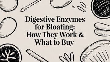 Digestive Enzymes for Bloating: How They Work & What to Buy article cover image with illustrations.