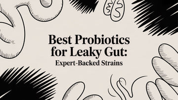 Best Probiotics for Leaky Gut: Expert-Backed Strains