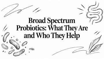 Broad Spectrum Probiotics: What They Are and Who They Help