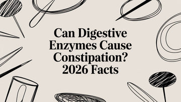 Can Digestive Enzymes Cause Constipation? 2026 Facts