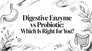 Digestive Enzyme vs Probiotic: Which Is Right for You?