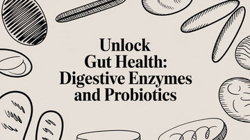 Unlock Gut Health: Digestive Enzymes And Probiotics
