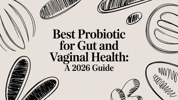 Best Probiotic for Gut and Vaginal Health: A 2026 Guide with illustrations of probiotic bacteria.