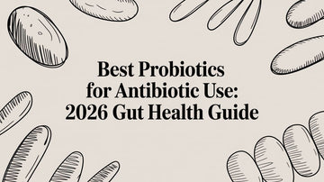 Best Probiotics for Antibiotic Use: 2026 Gut Health Guide with probiotic illustrations