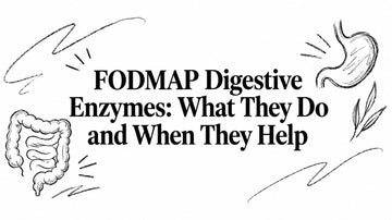 FODMAP Digestive Enzymes: What They Do and When They Help