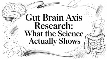 Gut Brain Axis Research: What the Science Actually Shows