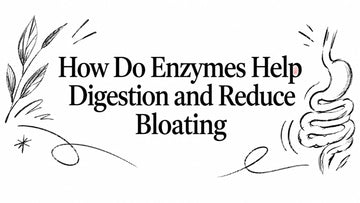 How Do Enzymes Help Digestion and Reduce Bloating