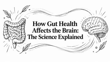 How Gut Health Affects the Brain: The Science Explained