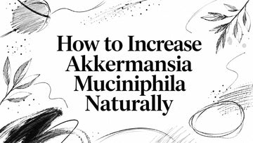 How to Increase Akkermansia Muciniphila Naturally