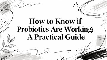 How to Know if Probiotics Are Working: A Practical Guide