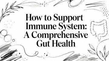 How to Support Immune System: A Comprehensive Gut Health, GutRx gut health article