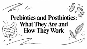 Prebiotics and Postbiotics: What They Are and How They Work