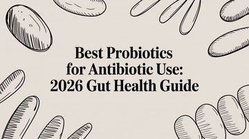 Best Probiotics for Antibiotic Use: 2026 Gut Health Guide