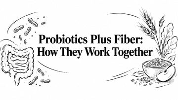 Probiotics Plus Fiber: How They Work Together
