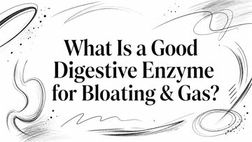 What Is a Good Digestive Enzyme for Bloating & Gas?