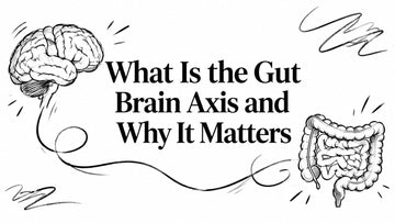 What Is the Gut Brain Axis and Why It Matters