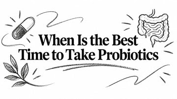 When Is the Best Time to Take Probiotics