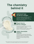 GutRx Collagen BT-3 informational graphic highlighting its support for skin and gut health.