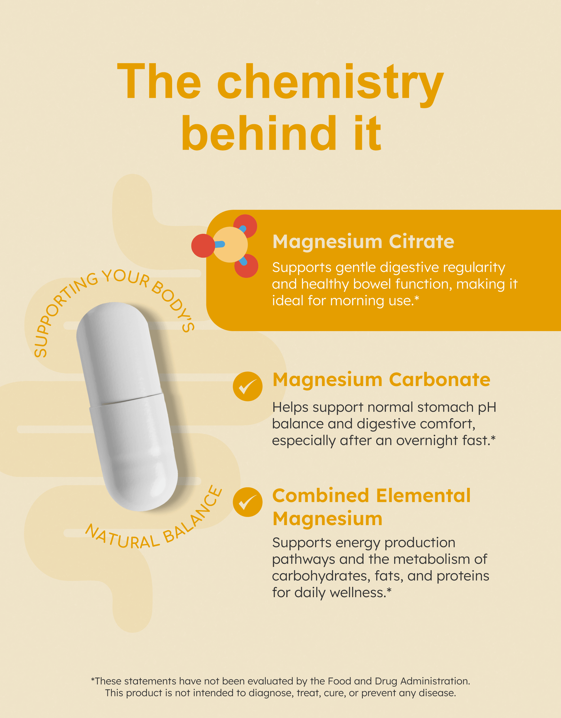 GutRx MAG+ Morning infographic explaining magnesium benefits for digestion and metabolic support.